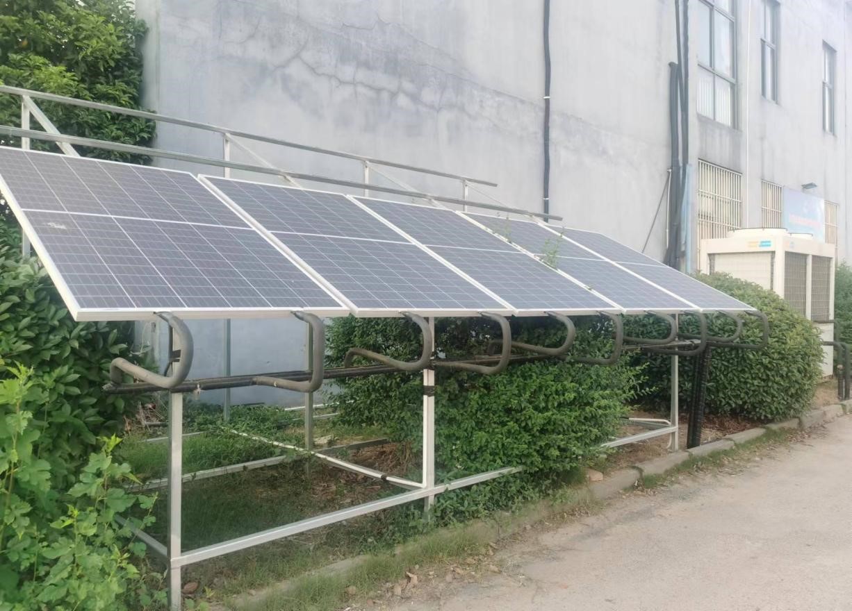 1655373021610124.jpg 5.jpg