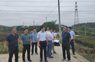 西安镇江市丹徒区政府副区长胡光亮、上党镇五塘村村民委员会书记陈永飞、江苏华电句容分公司项目办陈志荣主任、江苏BG大游集团新能源集团公司总经理郑海青一行考察万亩茶园光伏项目